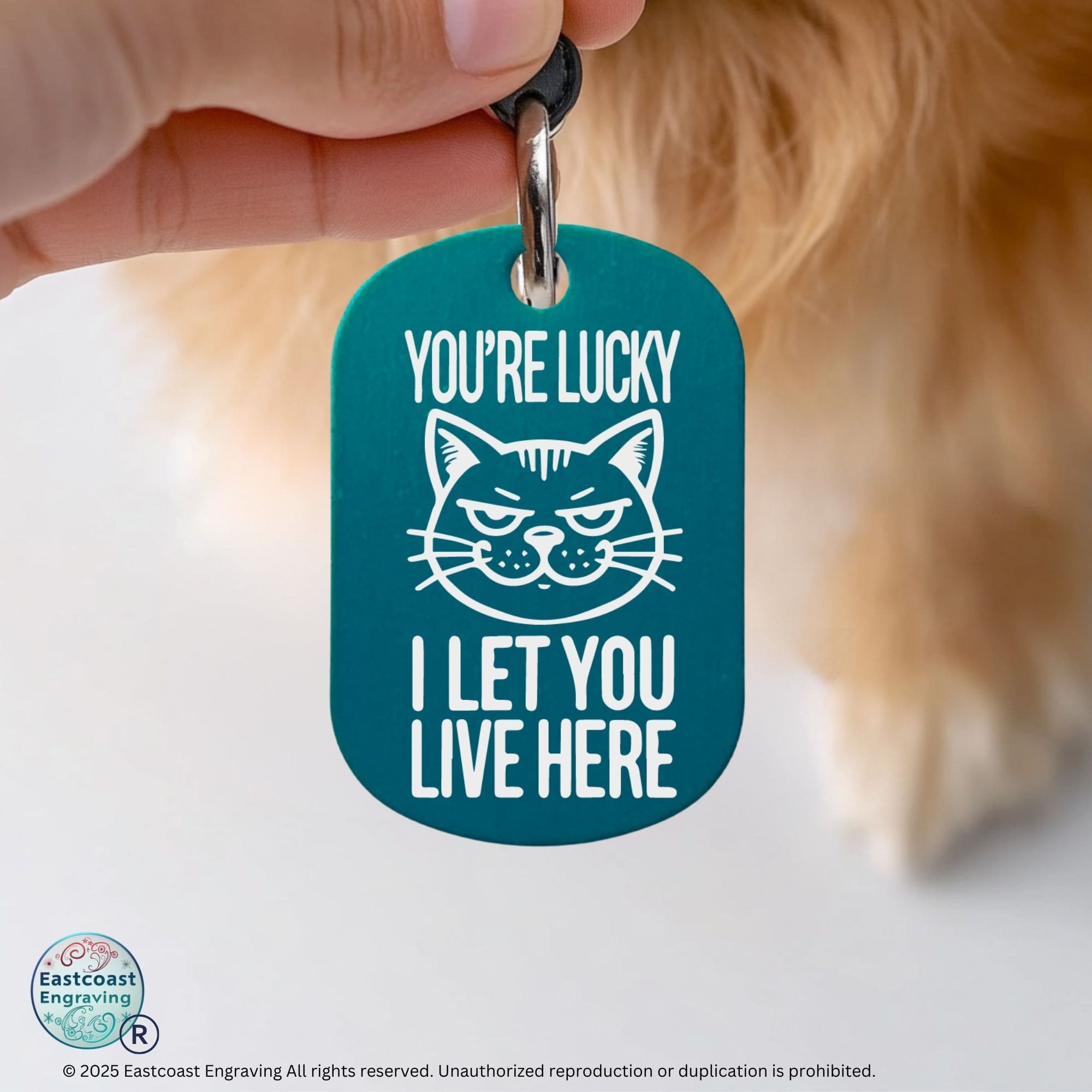 Custom cat ID tag - You're Lucky I Let You Live Here, engraved cat collar tag in teal