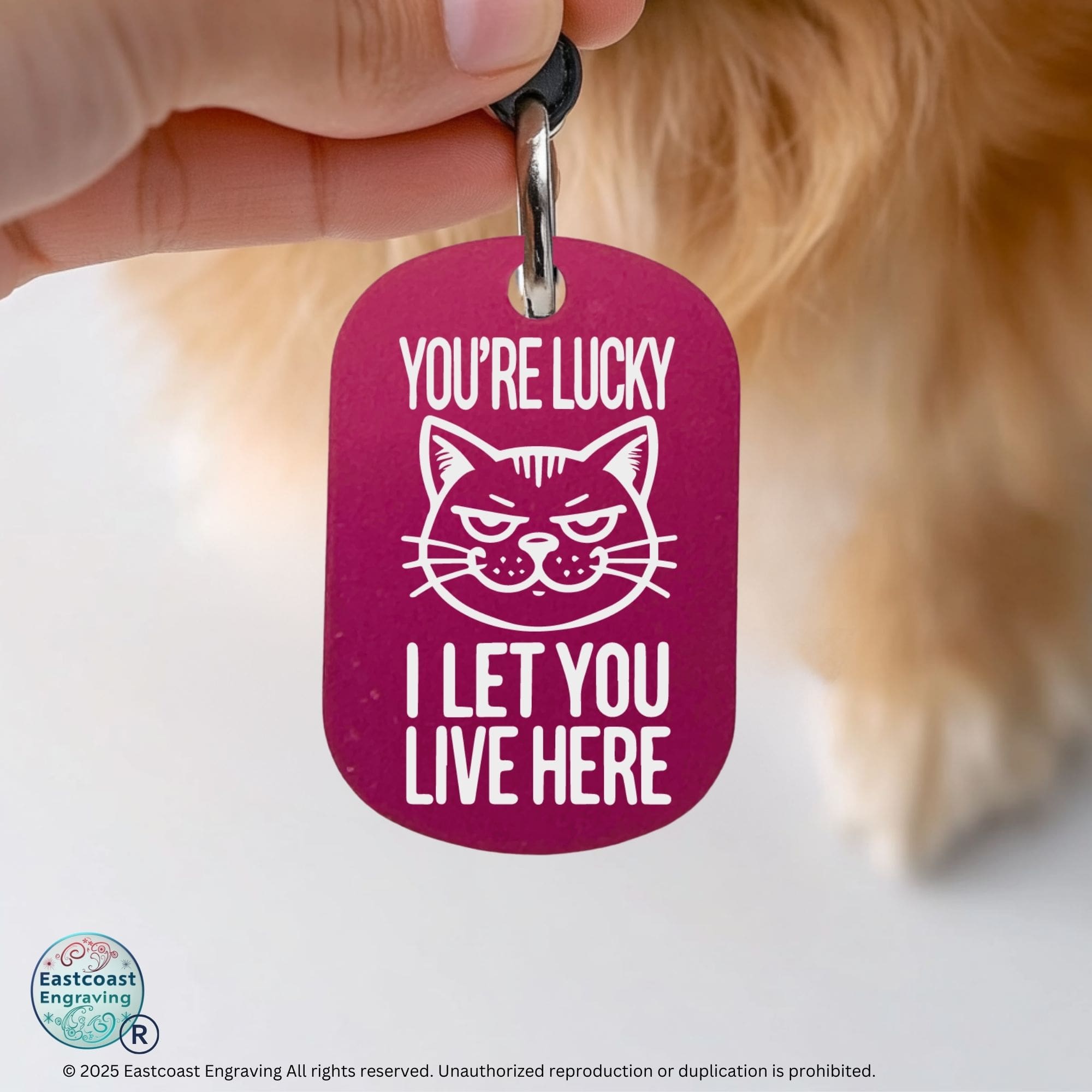 Personalized cat tag - You're Lucky I Let You Live Here, engraved funny cat collar tag in hot pink