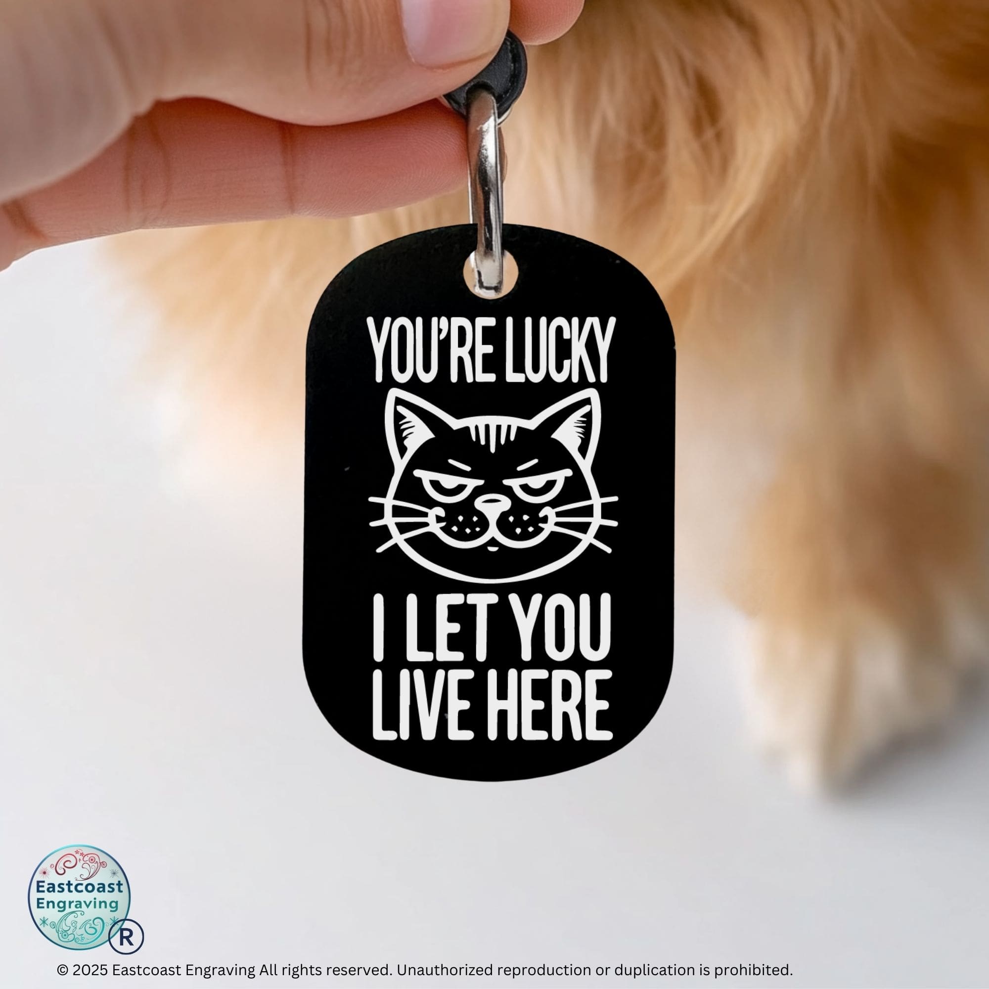 Engraved cat ID tag - You're Lucky I Let You Live Here, durable custom cat collar tag in black