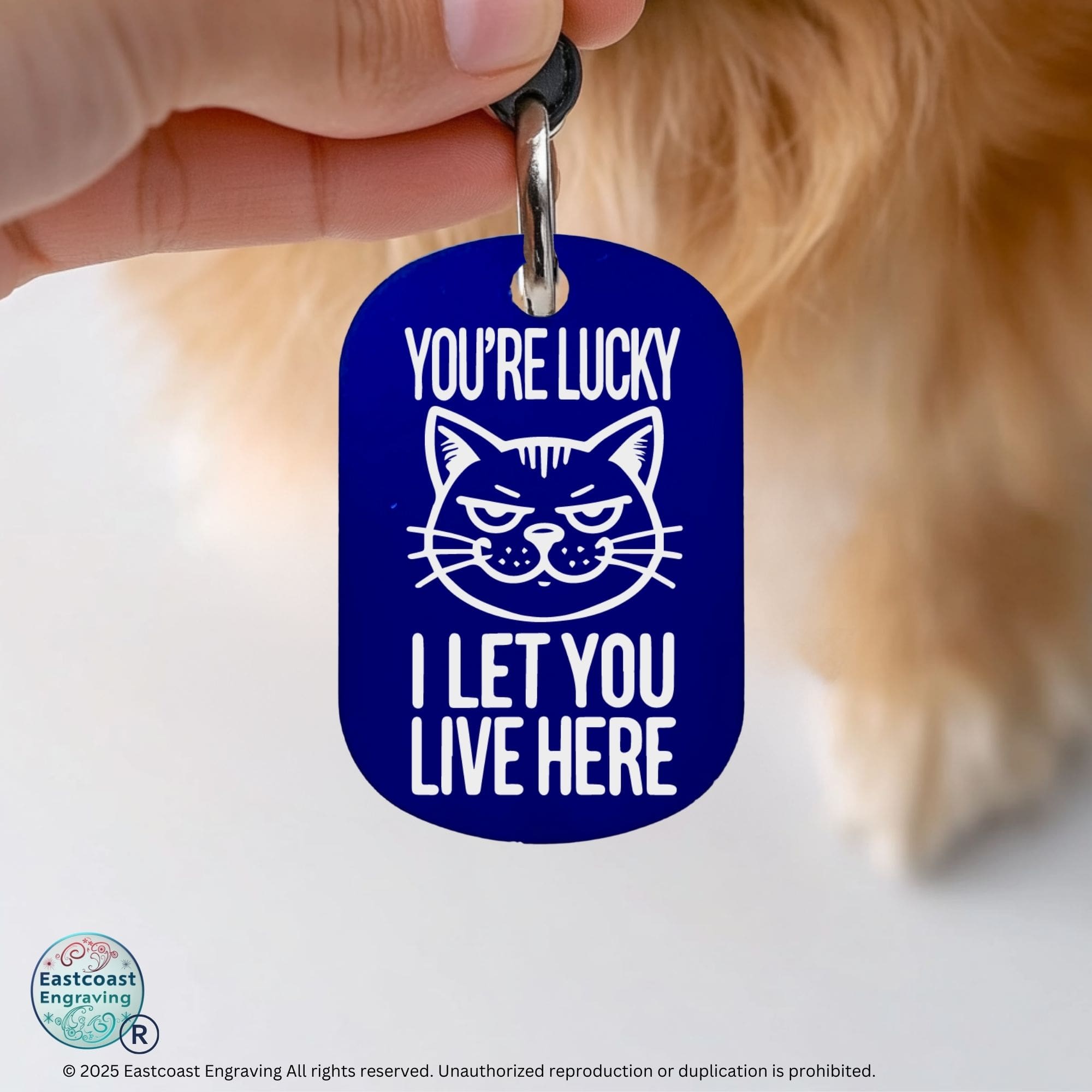 Custom engraved cat tag - You're Lucky I Let You Live Here, funny pet ID tag in blue