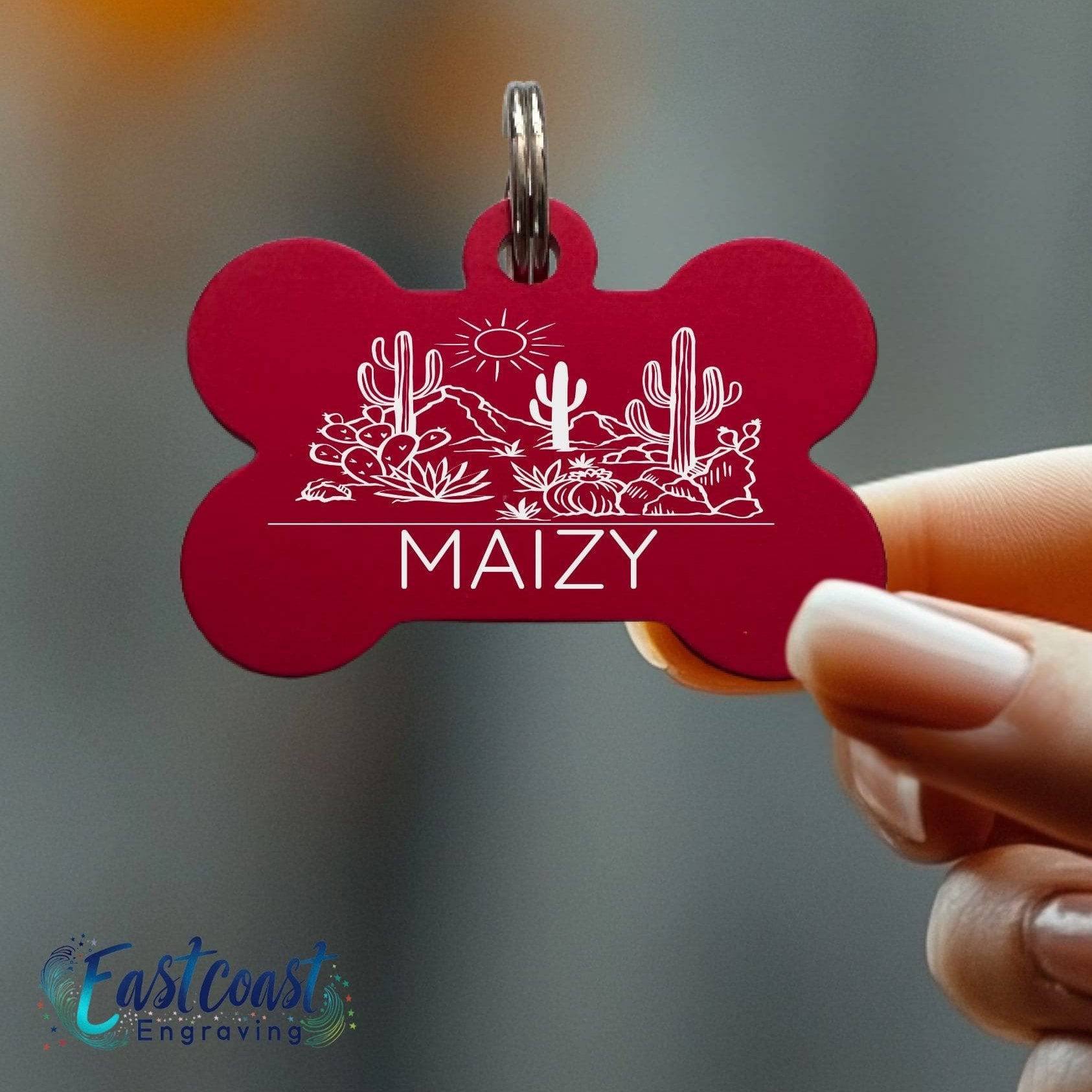 Custom fashion pet collar tags