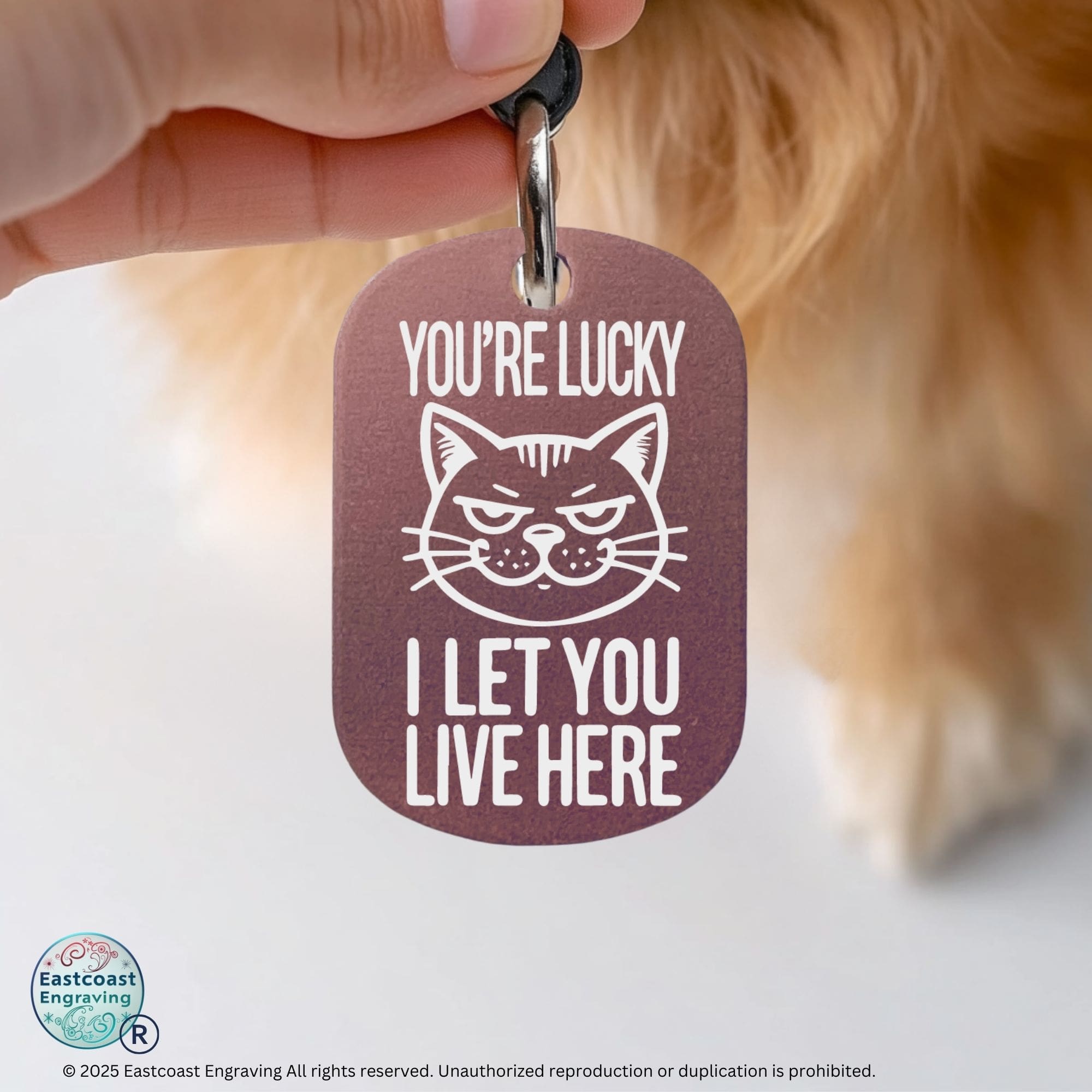 Funny cat collar tag - You're Lucky I Let You Live Here, personalized engraved pet tag in pink