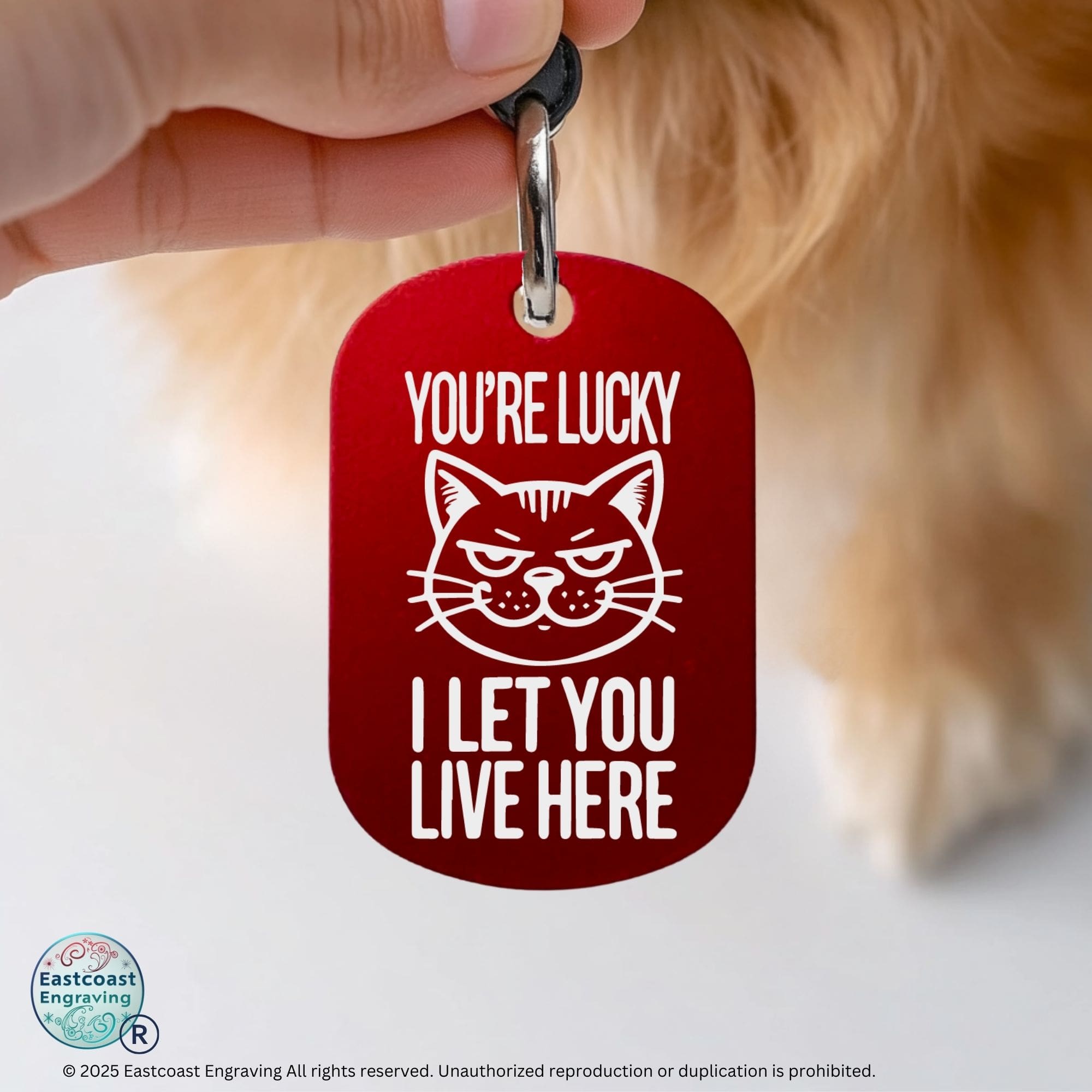 Funny cat ID tag engraved red – You're Lucky I Let You Live Here cat face design