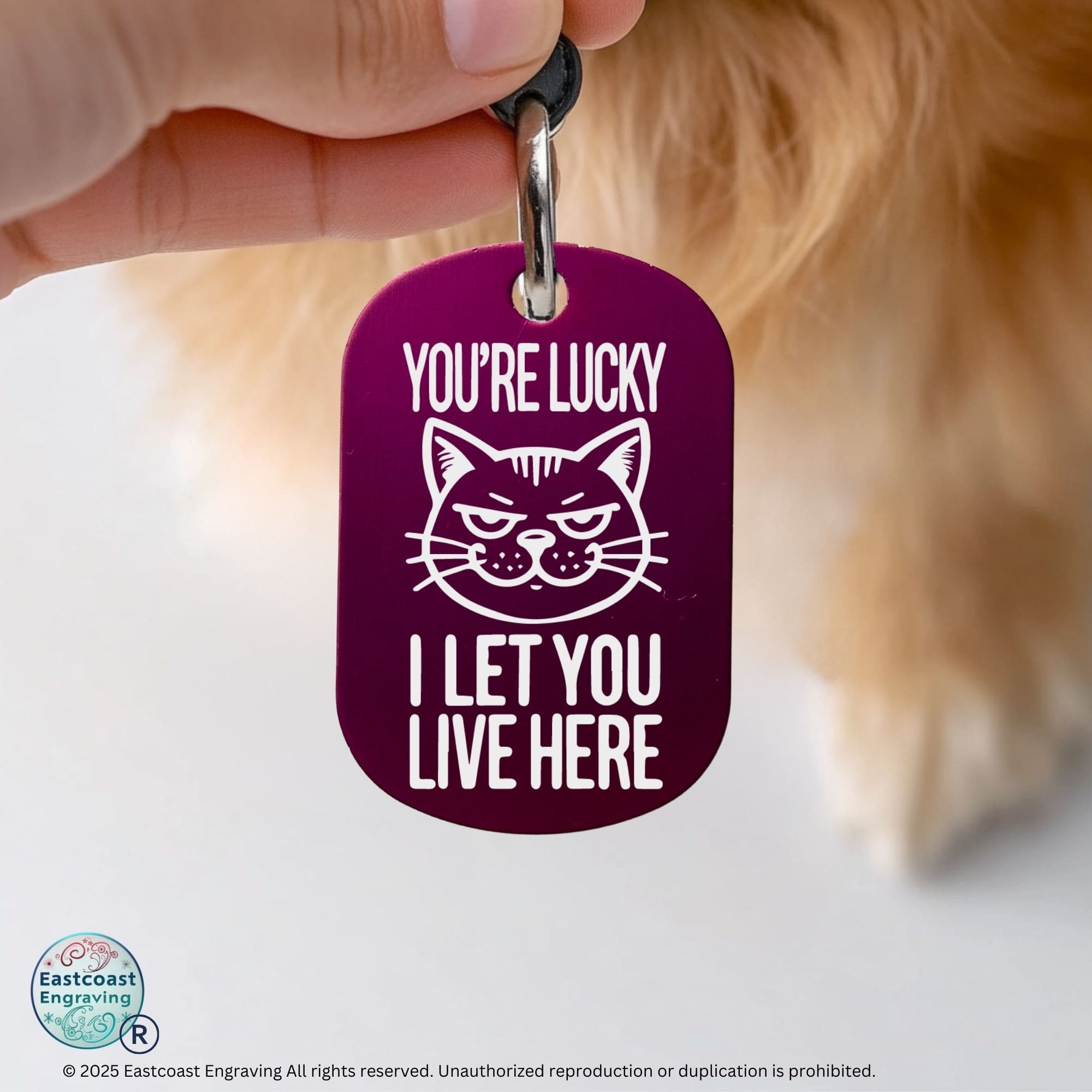 Personalized cat name tag - You're Lucky I Let You Live Here, custom engraved pet ID tag in purple